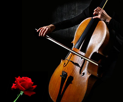 [Cellist with Rose]